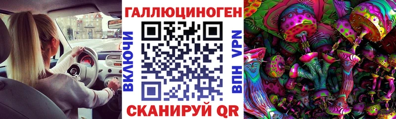 Псилоцибиновые грибы GOLDEN TEACHER  Купить  Ишимбай 